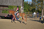 Badyhoeve is een terrein dat tot 3kinderen en hun pony's met de hond Djackson behoort.