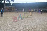 Badyhoeve is een terrein dat tot 3kinderen en hun pony's met de hond Djackson behoort.