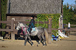 Badyhoeve is een terrein dat tot 3kinderen en hun pony's met de hond Djackson behoort.