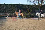 Badyhoeve is een terrein dat tot 3kinderen en hun pony's met de hond Djackson behoort.