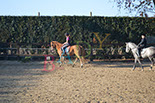 Badyhoeve is een terrein dat tot 3kinderen en hun pony's met de hond Djackson behoort.