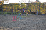 Badyhoeve is een terrein dat tot 3kinderen en hun pony's met de hond Djackson behoort.