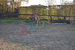 Badyhoeve is een terrein dat tot 3kinderen en hun pony's met de hond Djackson behoort.