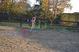 Badyhoeve is een terrein dat tot 3kinderen en hun pony's met de hond Djackson behoort.