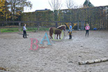 Badyhoeve is een terrein dat tot 3kinderen en hun pony's met de hond Djackson behoort.