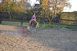 Badyhoeve is een terrein dat tot 3kinderen en hun pony's met de hond Djackson behoort.