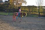 Badyhoeve is een terrein dat tot 3kinderen en hun pony's met de hond Djackson behoort.