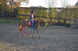 Badyhoeve is een terrein dat tot 3kinderen en hun pony's met de hond Djackson behoort.