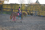 Badyhoeve is een terrein dat tot 3kinderen en hun pony's met de hond Djackson behoort.