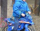 Badyhoeve is een terrein dat tot 3kinderen en hun pony's met de hond Djackson behoort.