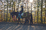 Badyhoeve is een terrein dat tot 3kinderen en hun pony's met de hond Djackson behoort.