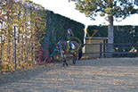 Badyhoeve is een terrein dat tot 3kinderen en hun pony's met de hond Djackson behoort.