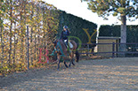 Badyhoeve is een terrein dat tot 3kinderen en hun pony's met de hond Djackson behoort.