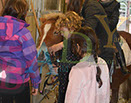 Badyhoeve is een terrein dat tot 3kinderen en hun pony's met de hond Djackson behoort.