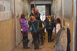 Badyhoeve is een terrein dat tot 3kinderen en hun pony's met de hond Djackson behoort.