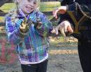 Badyhoeve is een terrein dat tot 3kinderen en hun pony's met de hond Djackson behoort.