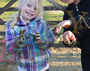 Badyhoeve is een terrein dat tot 3kinderen en hun pony's met de hond Djackson behoort.