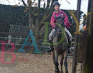 Badyhoeve is een terrein dat tot 3kinderen en hun pony's met de hond Djackson behoort.
