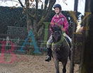 Badyhoeve is een terrein dat tot 3kinderen en hun pony's met de hond Djackson behoort.