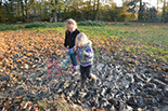 Badyhoeve is een terrein dat tot 3kinderen en hun pony's met de hond Djackson behoort.