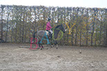 Badyhoeve is een terrein dat tot 3kinderen en hun pony's met de hond Djackson behoort.