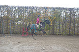Badyhoeve is een terrein dat tot 3kinderen en hun pony's met de hond Djackson behoort.