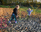Badyhoeve is een terrein dat tot 3kinderen en hun pony's met de hond Djackson behoort.