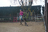 Badyhoeve is een terrein dat tot 3kinderen en hun pony's met de hond Djackson behoort.