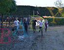 Badyhoeve is een terrein dat tot 3kinderen en hun pony's met de hond Djackson behoort.