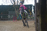 Badyhoeve is een terrein dat tot 3kinderen en hun pony's met de hond Djackson behoort.
