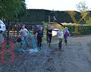 Badyhoeve is een terrein dat tot 3kinderen en hun pony's met de hond Djackson behoort.