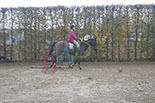 Badyhoeve is een terrein dat tot 3kinderen en hun pony's met de hond Djackson behoort.
