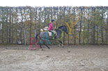Badyhoeve is een terrein dat tot 3kinderen en hun pony's met de hond Djackson behoort.