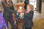 Badyhoeve is een terrein dat tot 3kinderen en hun pony's met de hond Djackson behoort.
