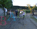 Badyhoeve is een terrein dat tot 3kinderen en hun pony's met de hond Djackson behoort.
