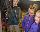 Badyhoeve is een terrein dat tot 3kinderen en hun pony's met de hond Djackson behoort.