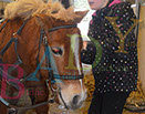 Badyhoeve is een terrein dat tot 3kinderen en hun pony's met de hond Djackson behoort.