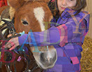 Badyhoeve is een terrein dat tot 3kinderen en hun pony's met de hond Djackson behoort.