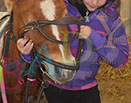 Badyhoeve is een terrein dat tot 3kinderen en hun pony's met de hond Djackson behoort.