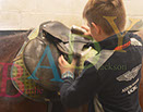 Badyhoeve is een terrein dat tot 3kinderen en hun pony's met de hond Djackson behoort.