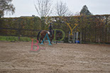 Badyhoeve is een terrein dat tot 3kinderen en hun pony's met de hond Djackson behoort.