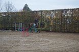 Badyhoeve is een terrein dat tot 3kinderen en hun pony's met de hond Djackson behoort.