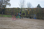 Badyhoeve is een terrein dat tot 3kinderen en hun pony's met de hond Djackson behoort.