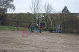 Badyhoeve is een terrein dat tot 3kinderen en hun pony's met de hond Djackson behoort.