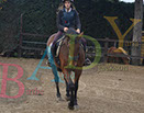 Badyhoeve is een terrein dat tot 3kinderen en hun pony's met de hond Djackson behoort.
