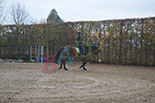 Badyhoeve is een terrein dat tot 3kinderen en hun pony's met de hond Djackson behoort.