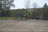 Badyhoeve is een terrein dat tot 3kinderen en hun pony's met de hond Djackson behoort.
