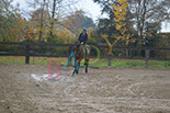 Badyhoeve is een terrein dat tot 3kinderen en hun pony's met de hond Djackson behoort.