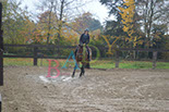 Badyhoeve is een terrein dat tot 3kinderen en hun pony's met de hond Djackson behoort.