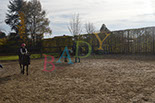 Badyhoeve is een terrein dat tot 3kinderen en hun pony's met de hond Djackson behoort.
